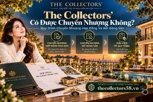 The Collectors’ Có Được Chuyển Nhượng Không? Quy Trình Chuyển Nhượng Hợp Đồng Và Bất Động Sản